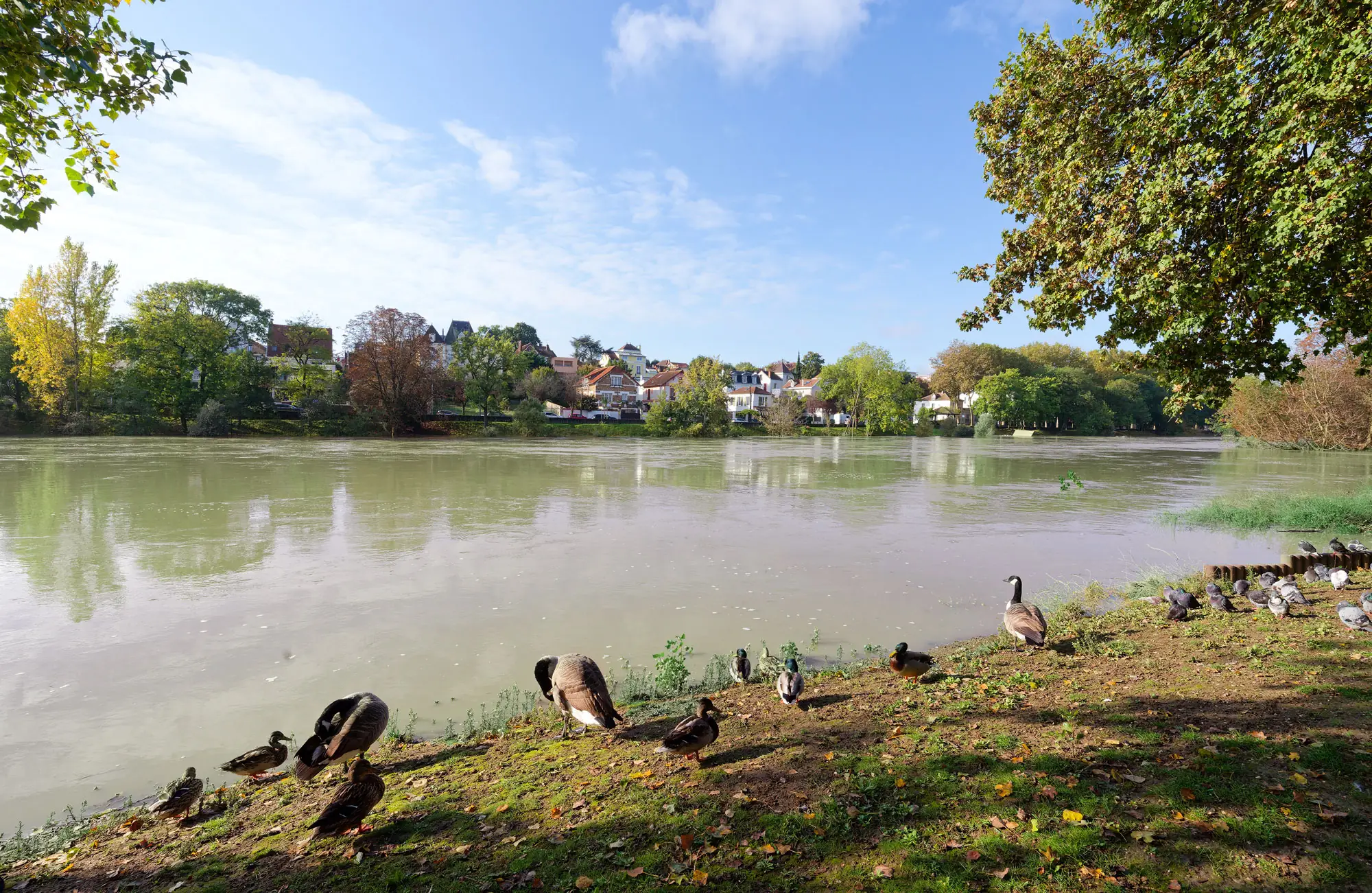 Champigny-sur-Marne - Val-de-Marne (94)
