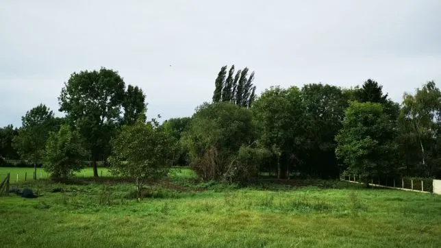 Maison n°9 à Bueil